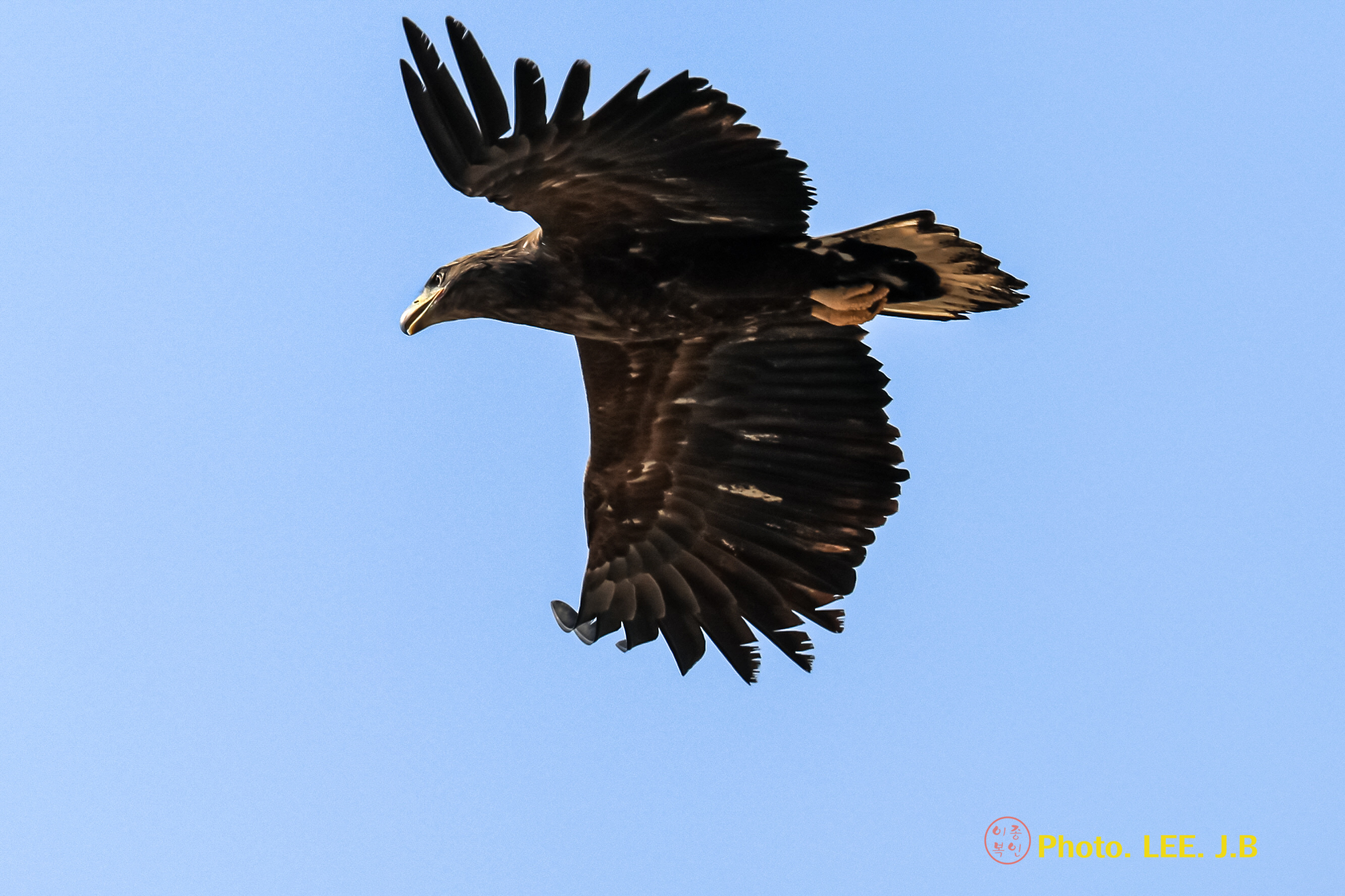 20250202-우곡중학교 (101).JPG