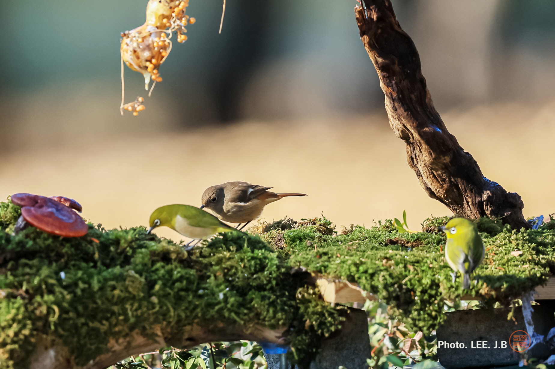 20250111-문수구장 (64).JPG