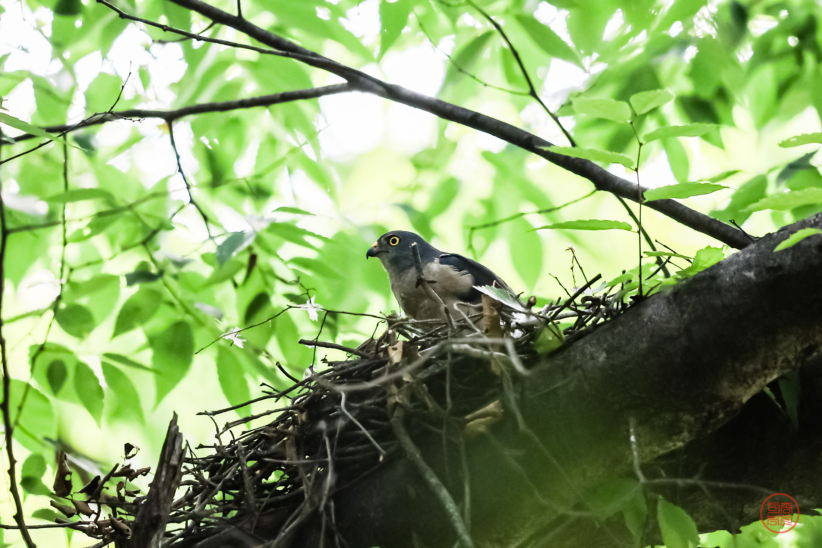 20240706-옥산서원 (18).JPG