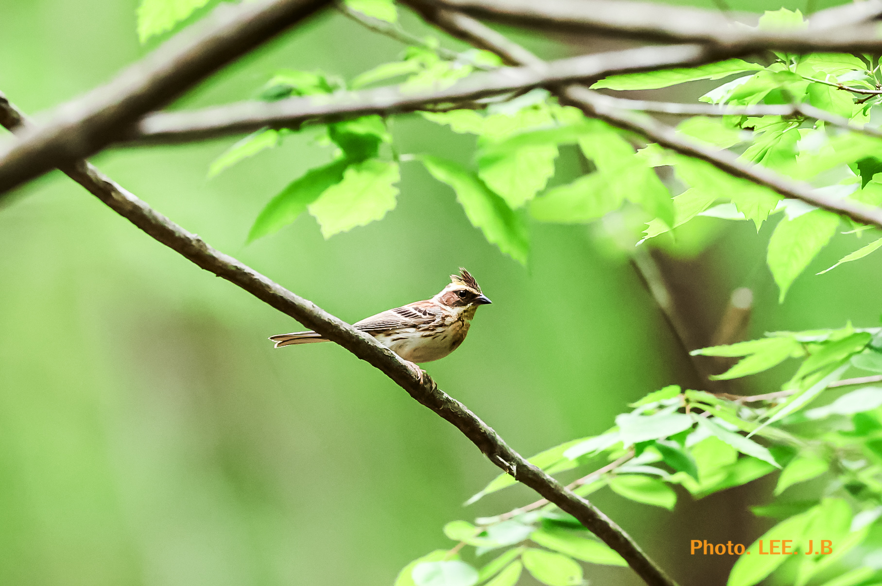 20250518-영월 금몽암 (16).JPG