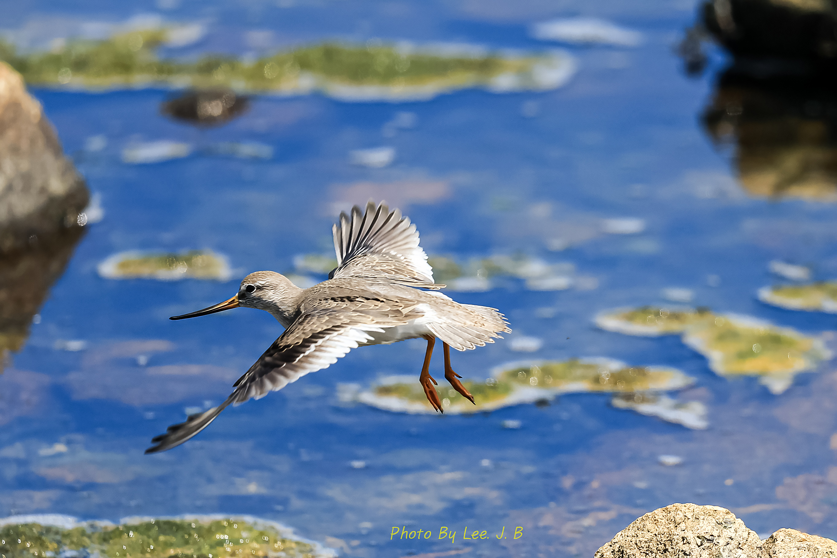 20240810-호미곶광장 (111).JPG