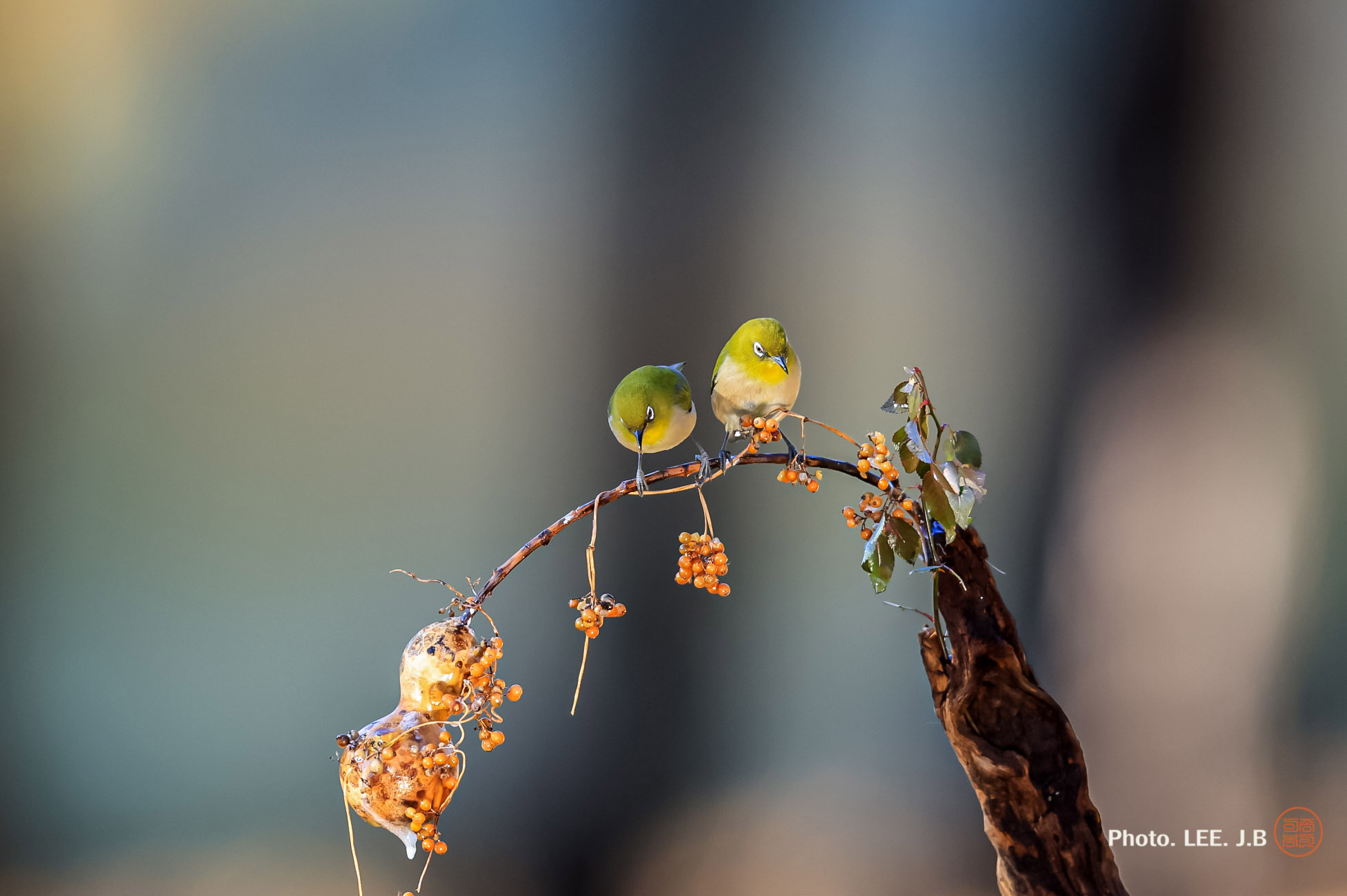 20250111-문수구장 (25).JPG