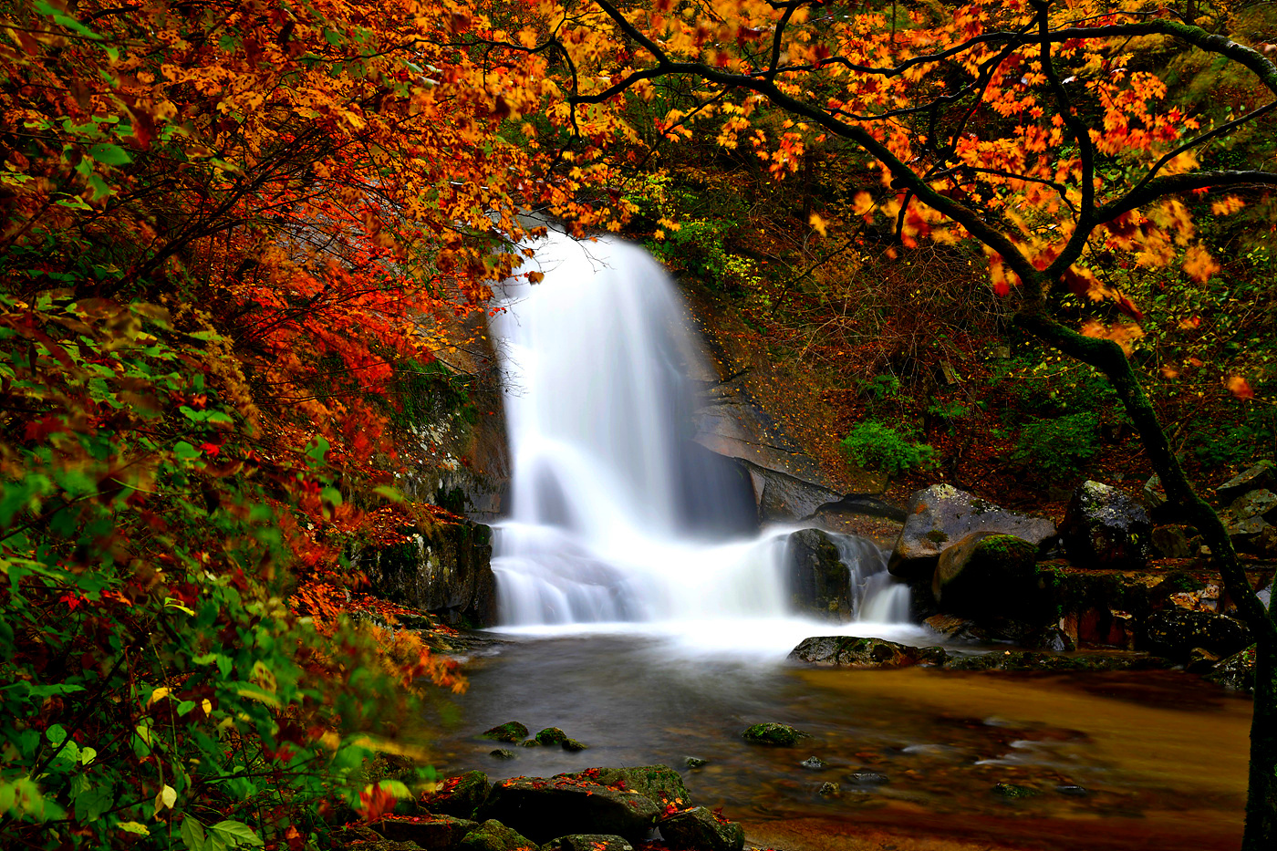 20241019 방태산 이단폭포_0019_view-pw+.jpg