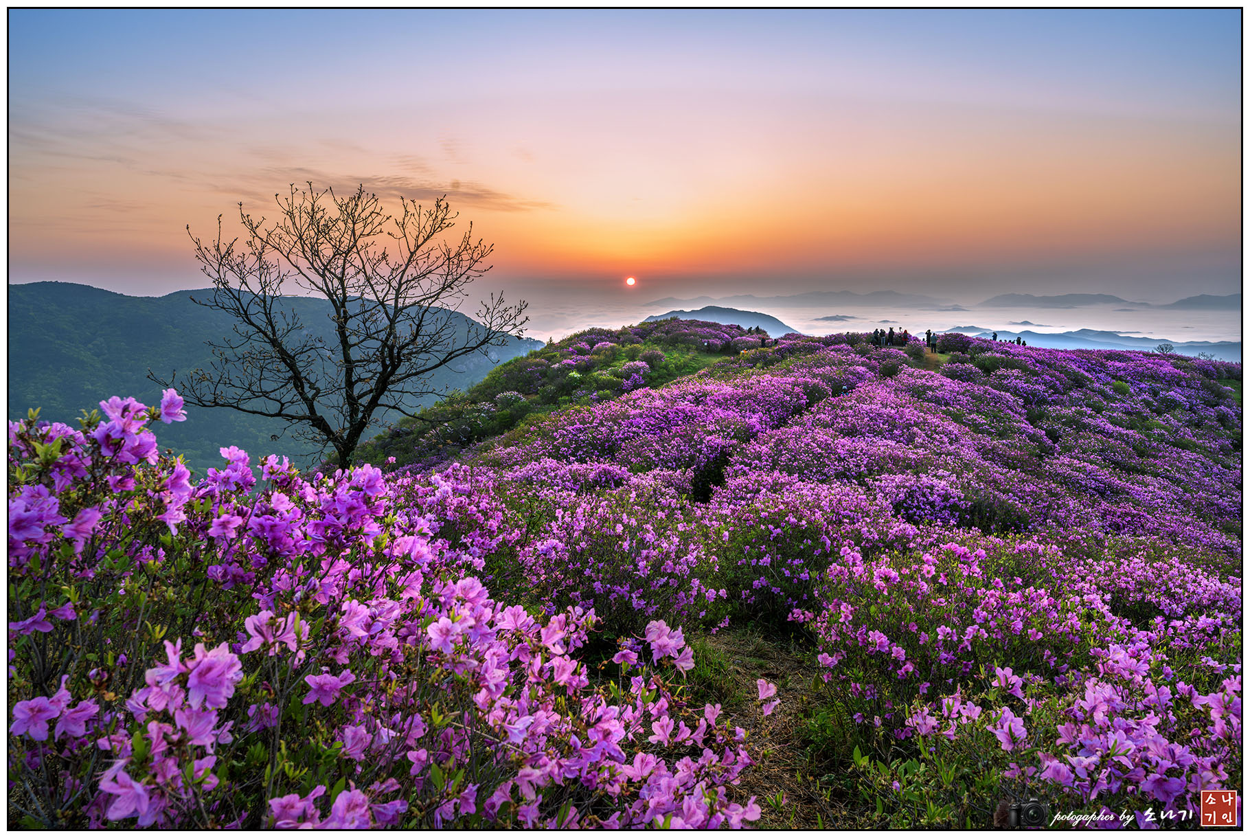 황매산 일출-1 복사.jpg