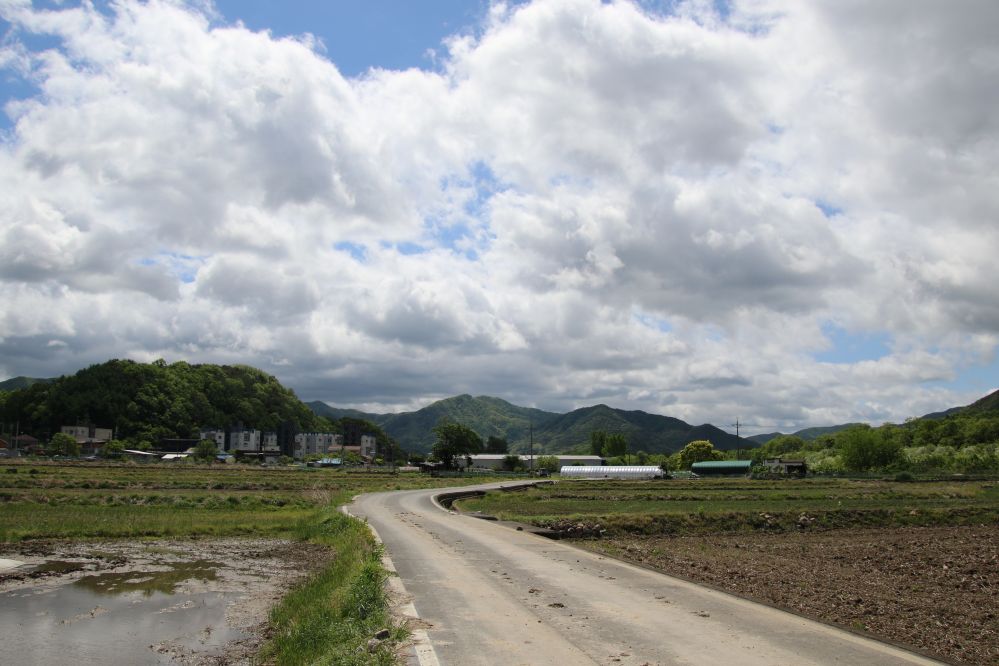 행정마을의 봄1...JPG