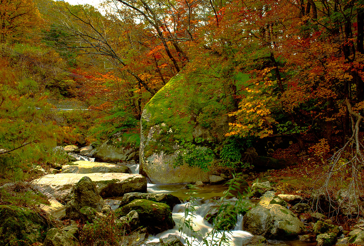 DSC_4705_1 복사.jpg