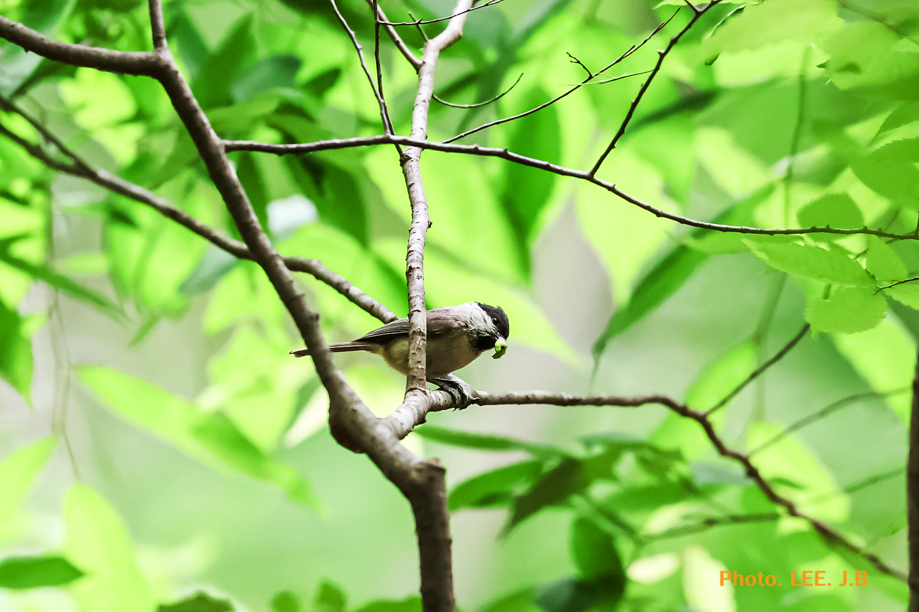 20250518-영월 금몽암 (17).JPG