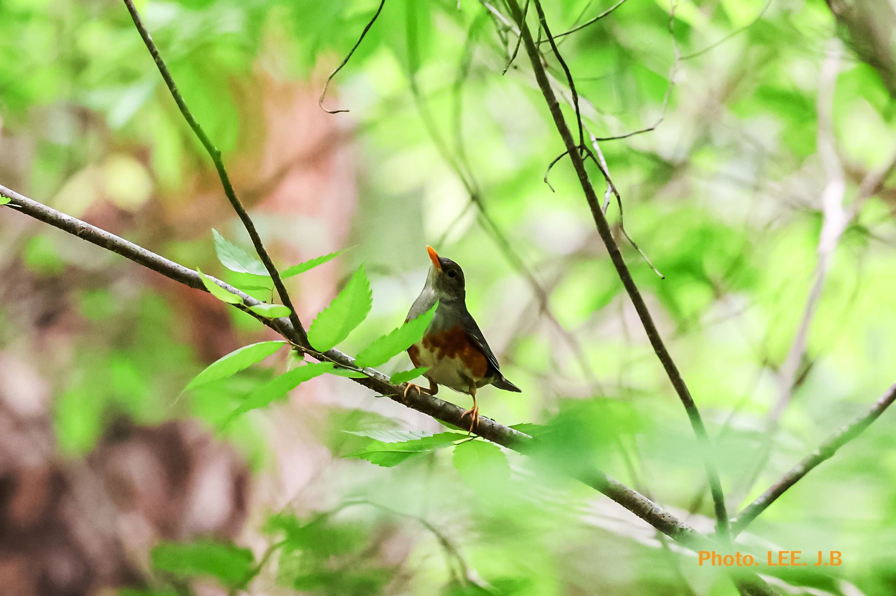 20250518-영월 금몽암 (13).JPG