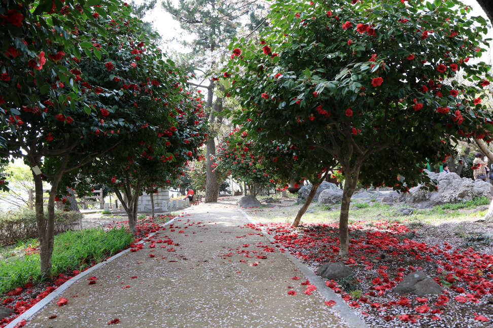 20180408-학성공원 (9).JPG