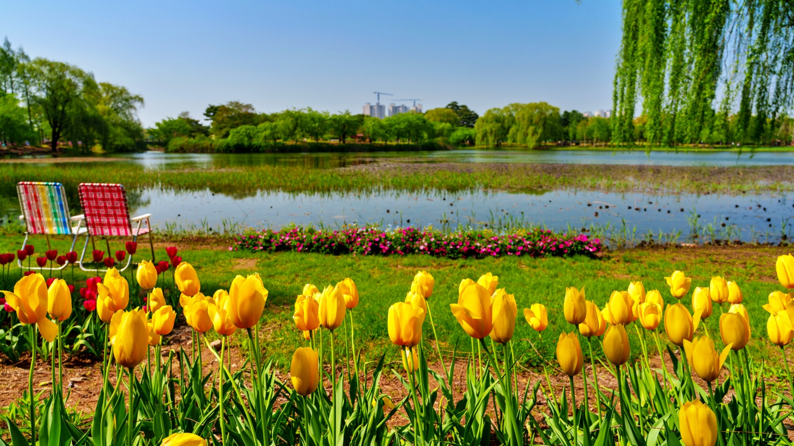 주인없는 의자.jpg