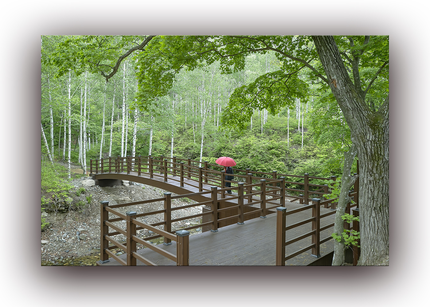 A91I3119 복사-0.jpg