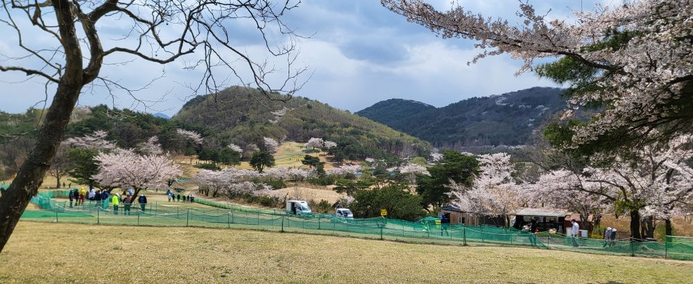 파크장의 봄4...jpg