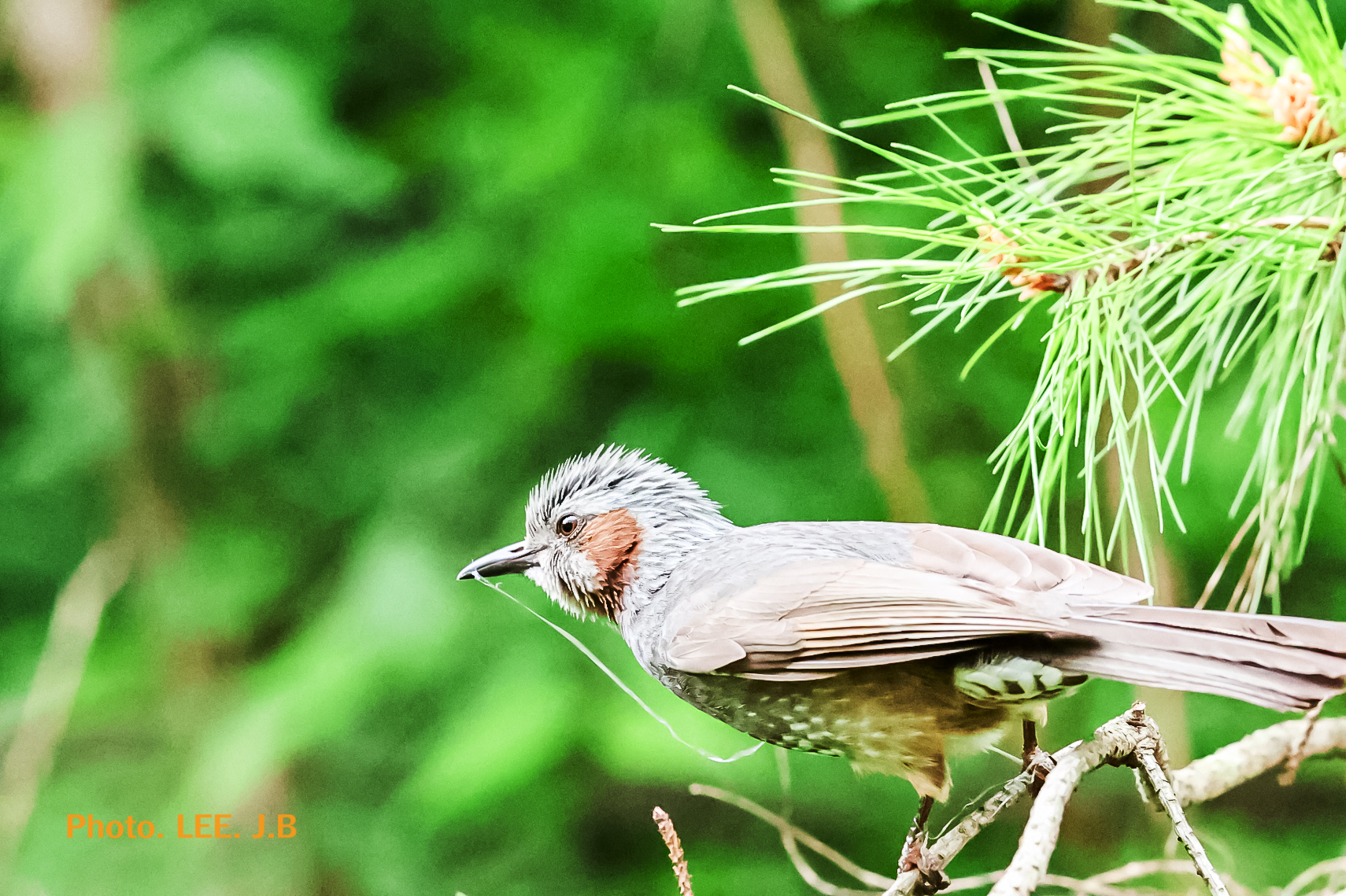 20250518-영월 금몽암 (4).JPG