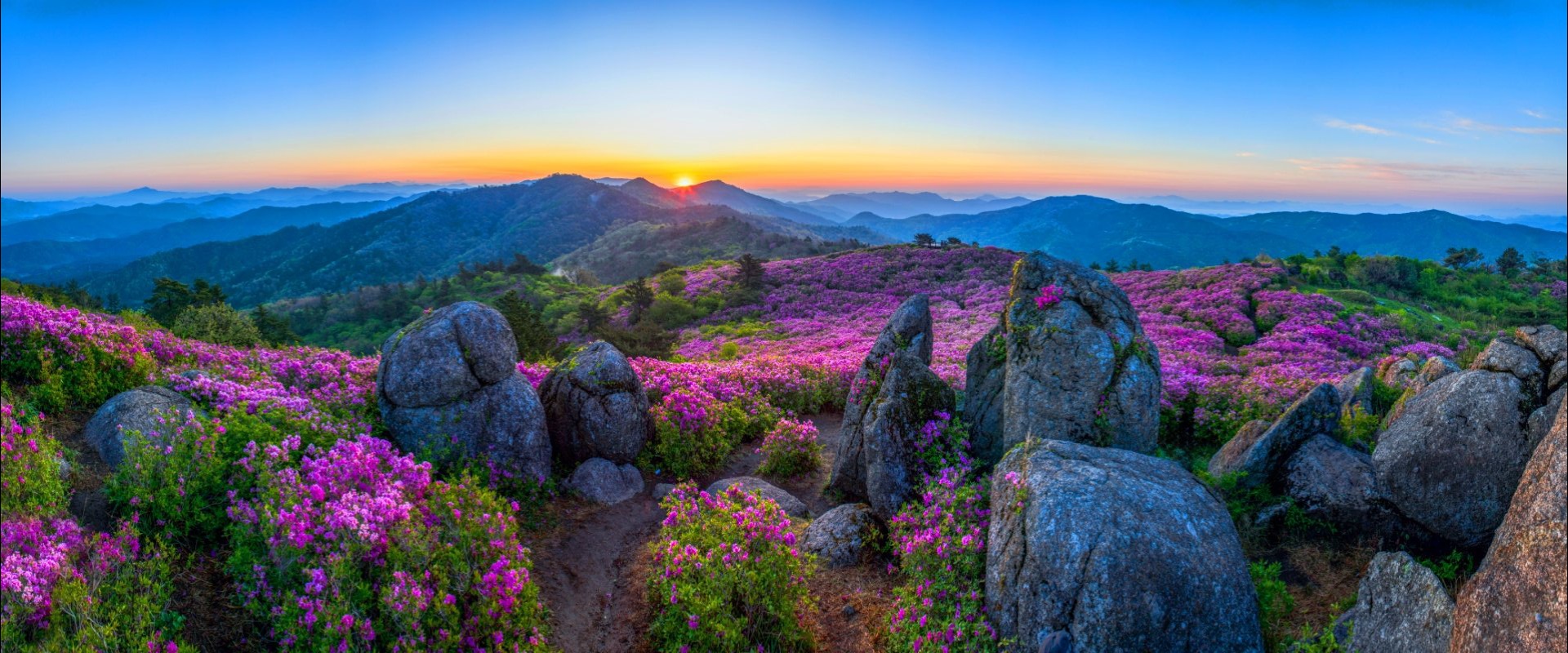 카카오스토리_2025_05_02 21_56_03.jpg