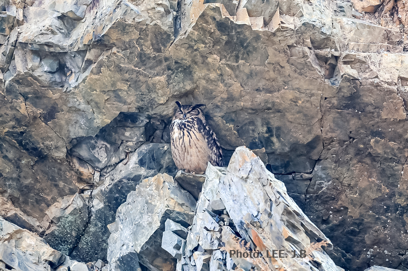 20250310-남창천 (4).JPG