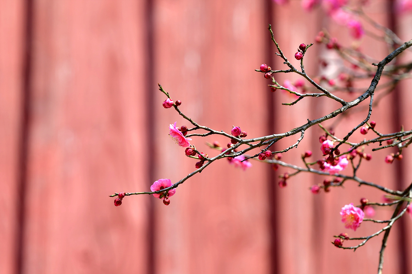 20250321 봉은사_0101_view-pw.jpg