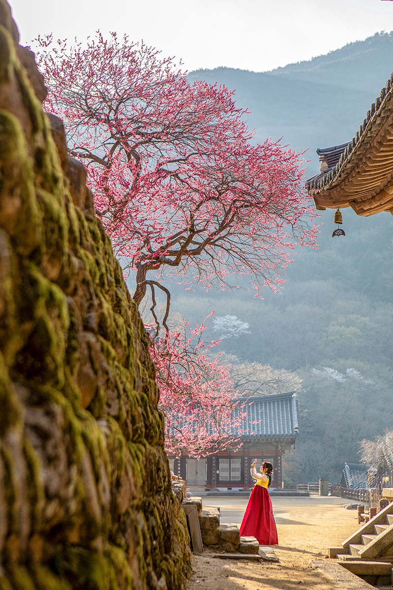 A4U_2344 복사 2.jpg