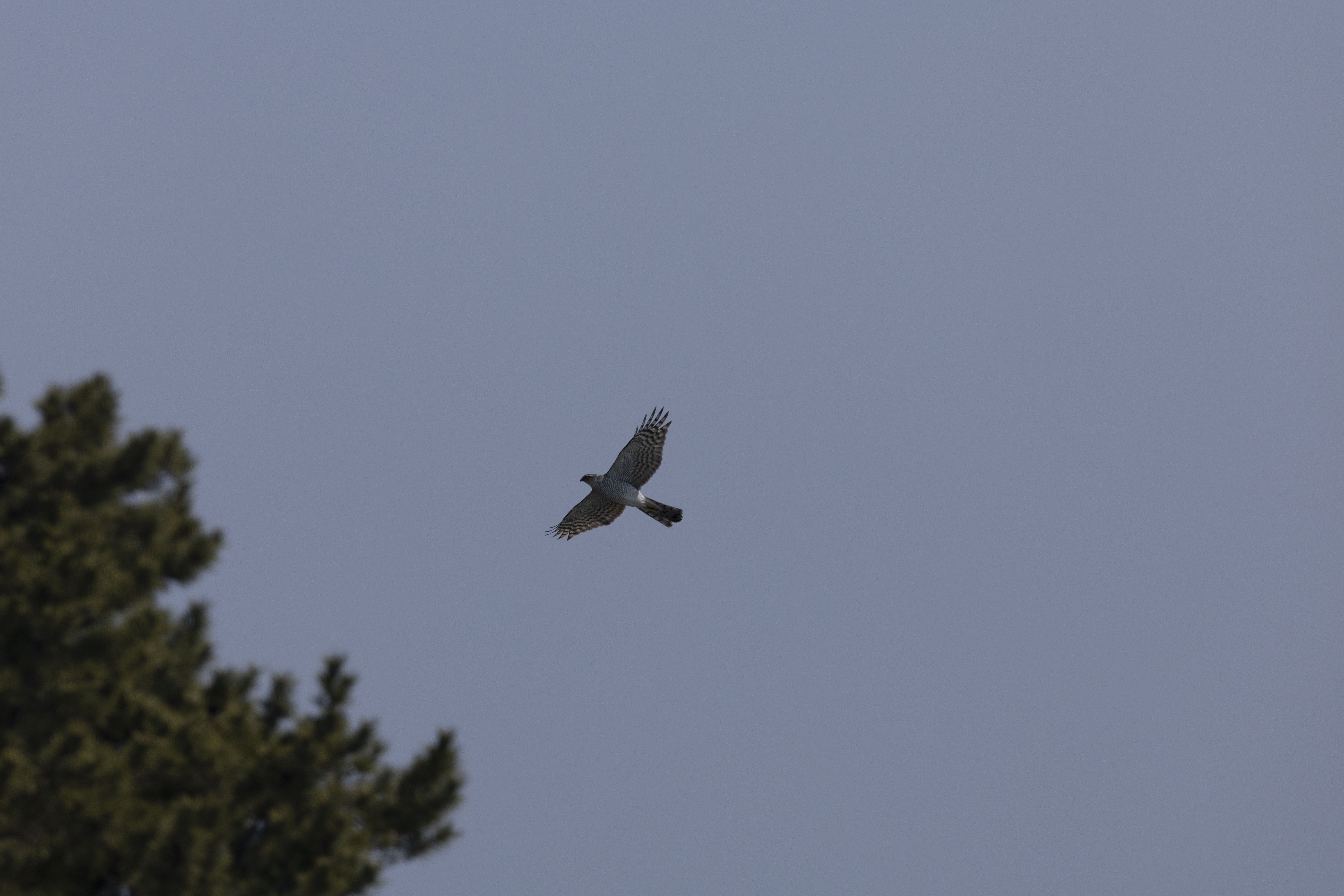 20250322-태종대유1 (108).JPG