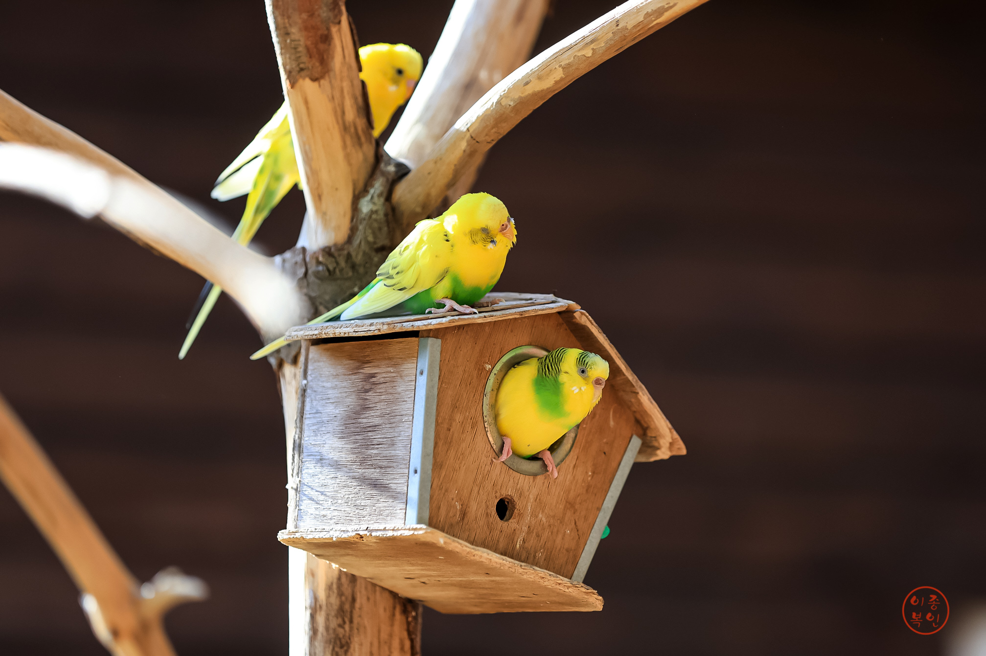 20250220-울산대공원 (47).JPG