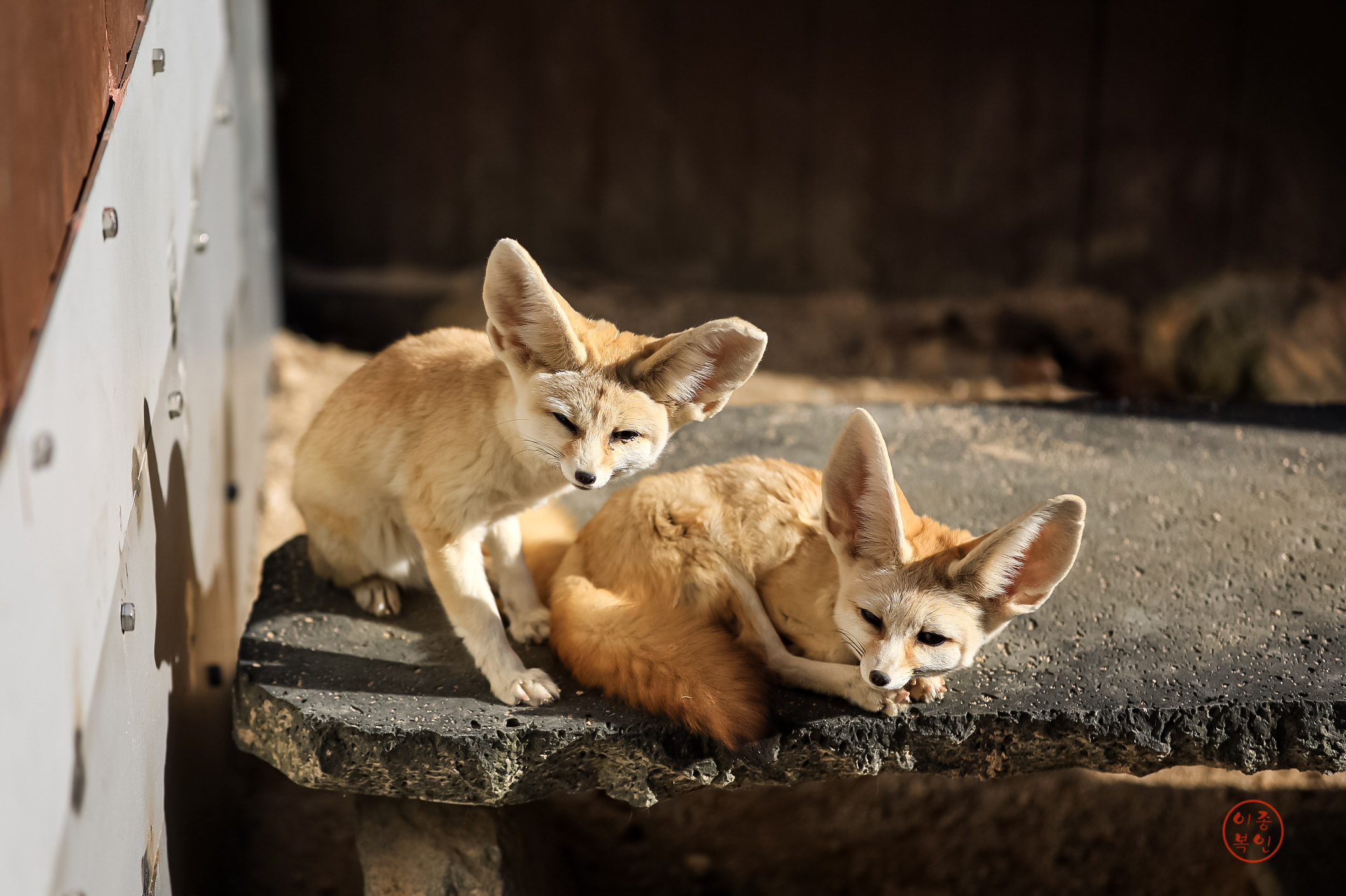 20250220-울산대공원 (24).JPG