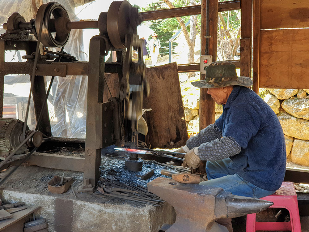 20250329_105240 -1000.jpg