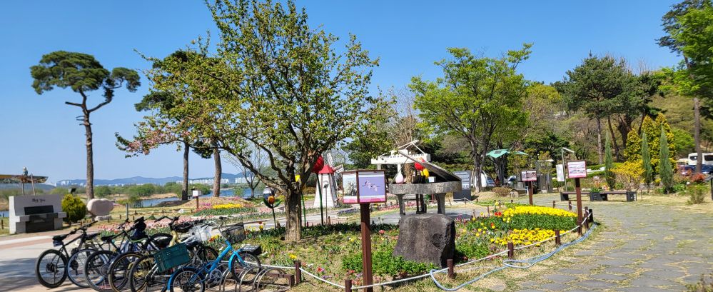 사문진나루터의 봄1...jpg