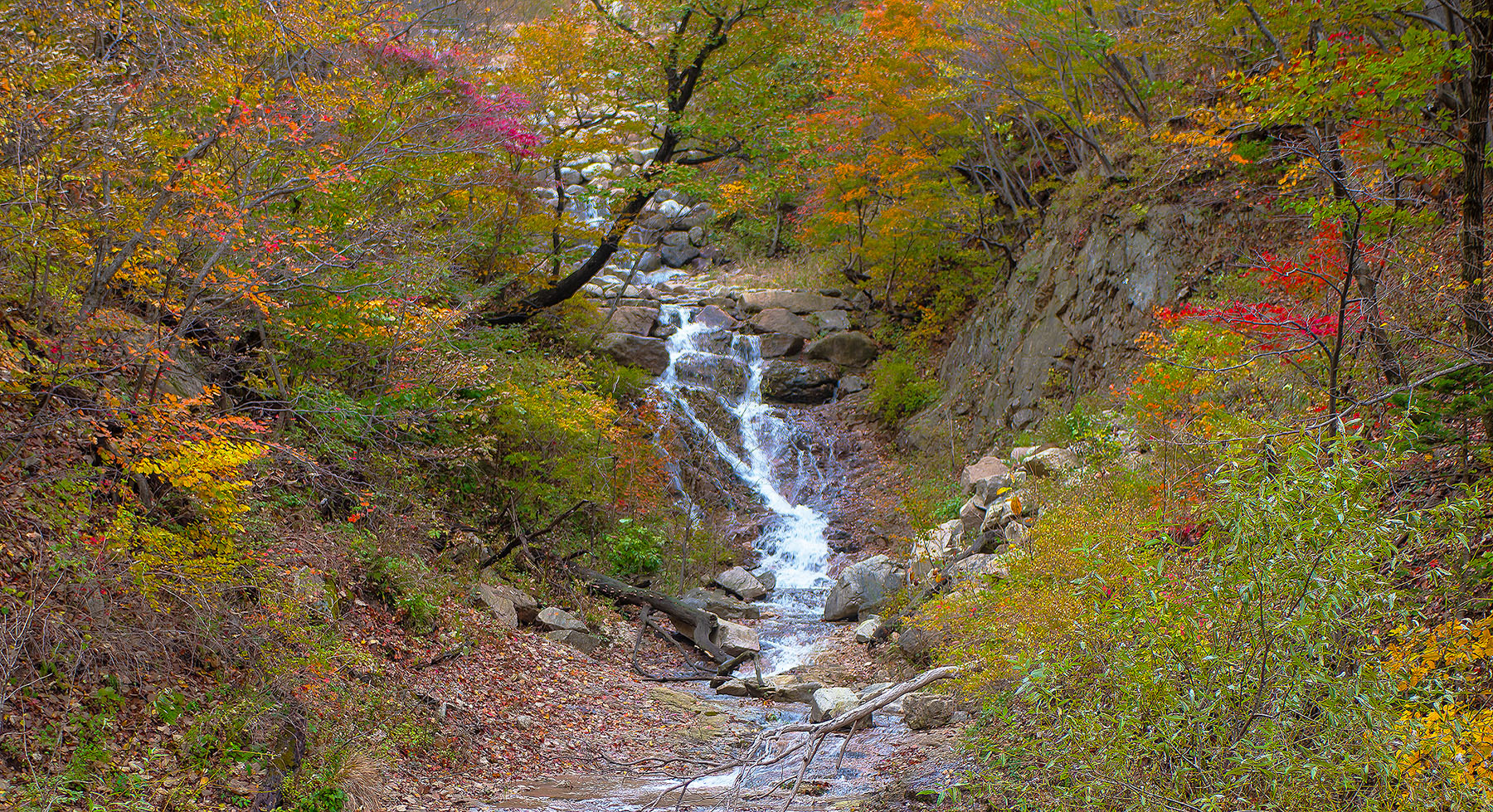 DSC_4703 복사.jpg2.jpg