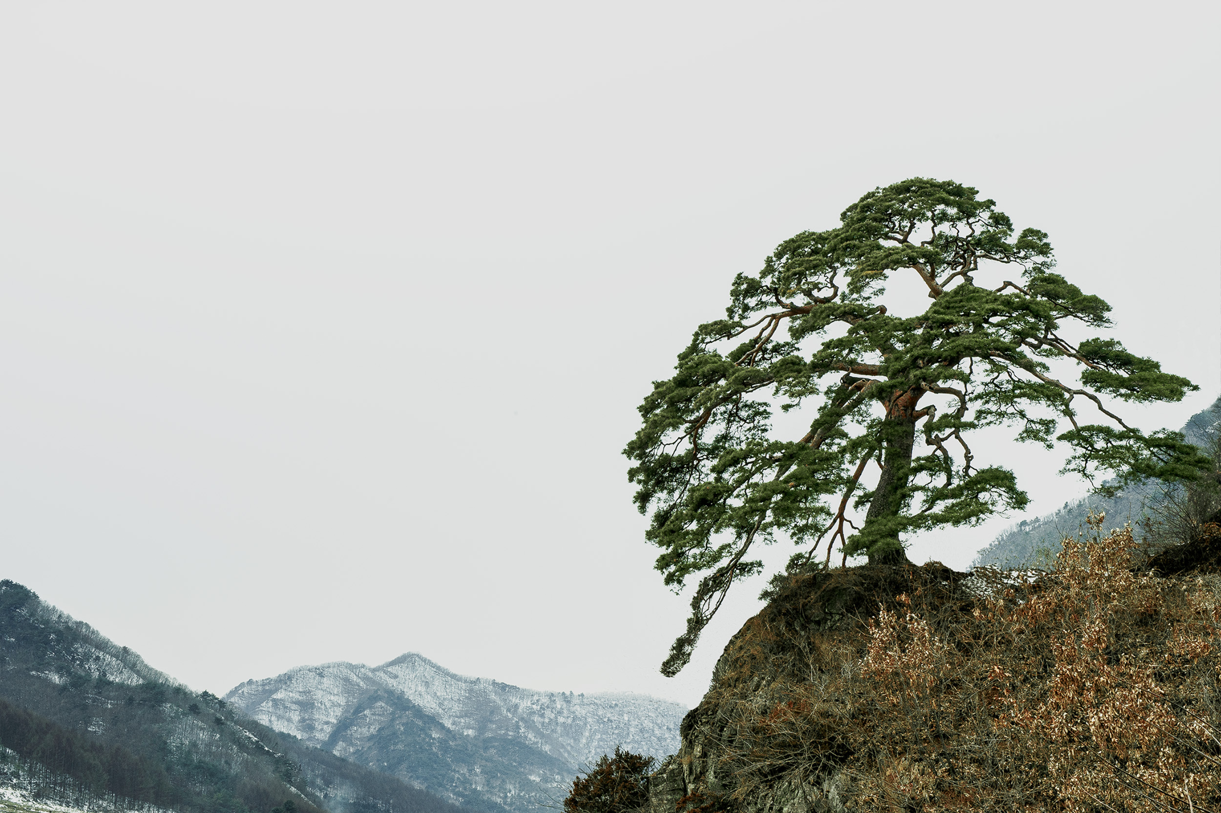 _DSC4664 복사 2.jpg