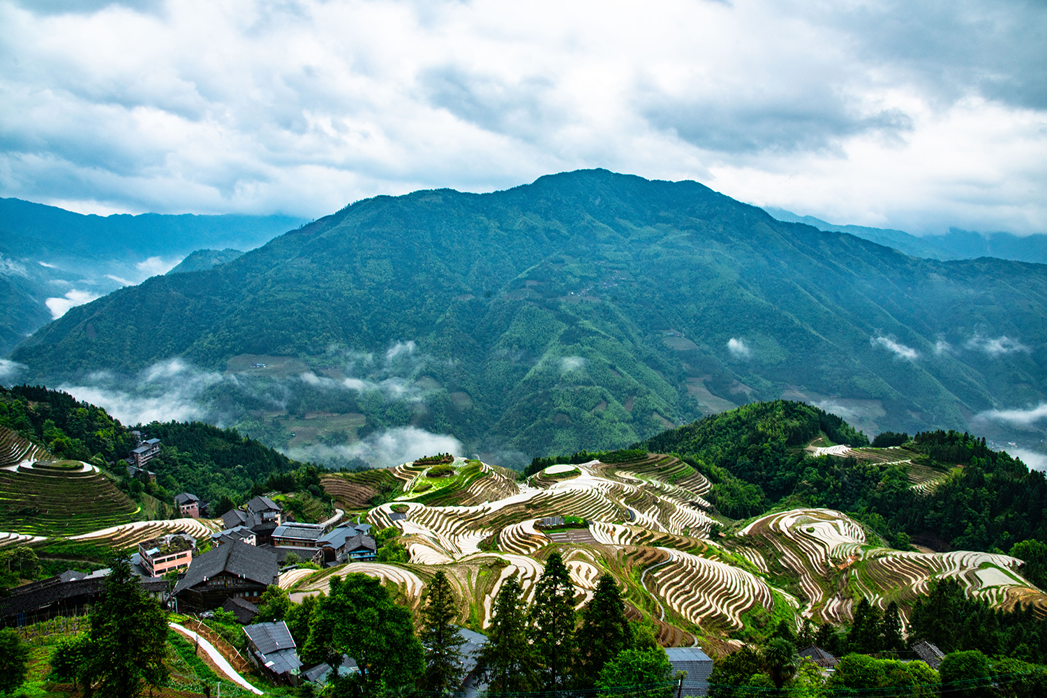 칠성점 다락논.jpg