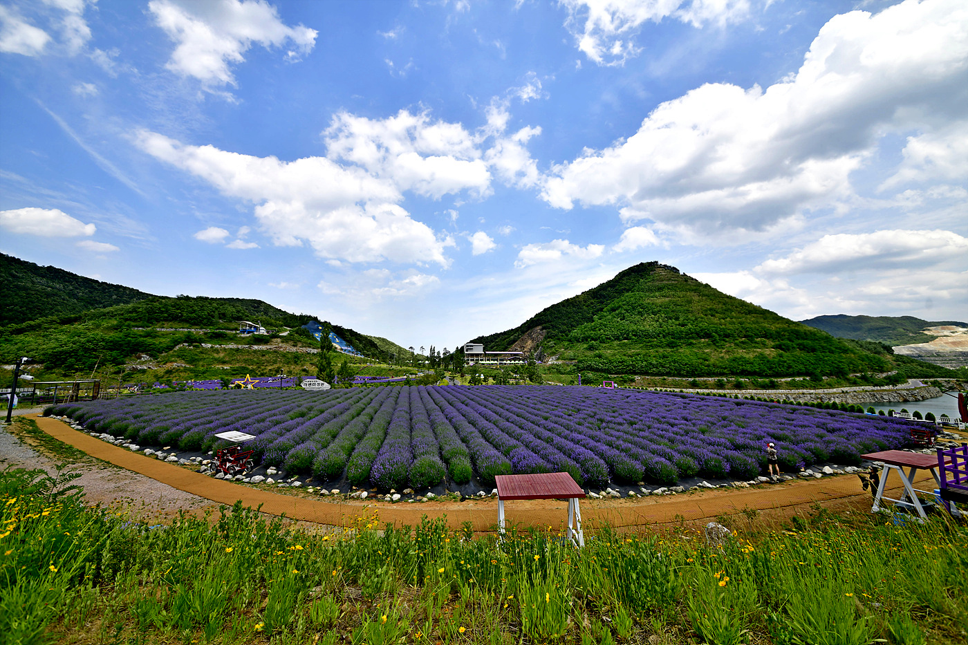 20250610 동해 무릉별유천지_0462_view-pw+.jpg