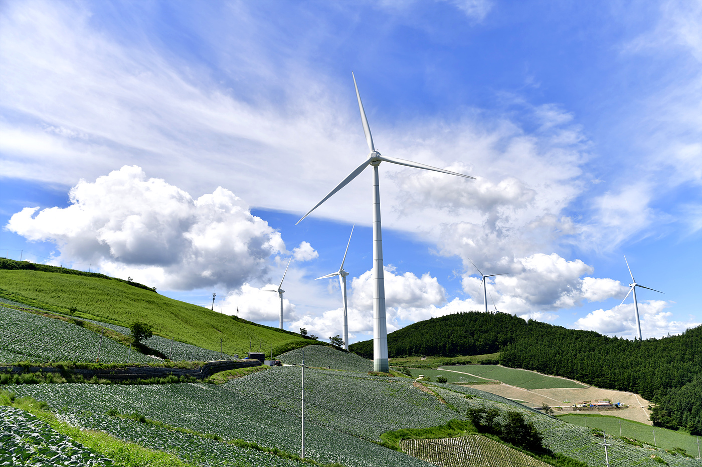 20250726 매봉산_0206_v-pw.jpg