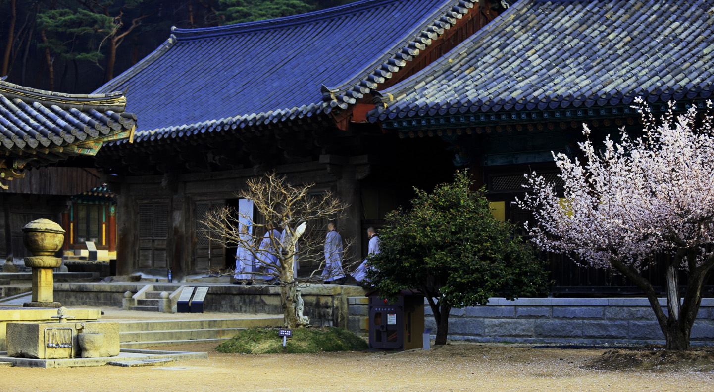 사본 -_MG_6477 복사.jpg