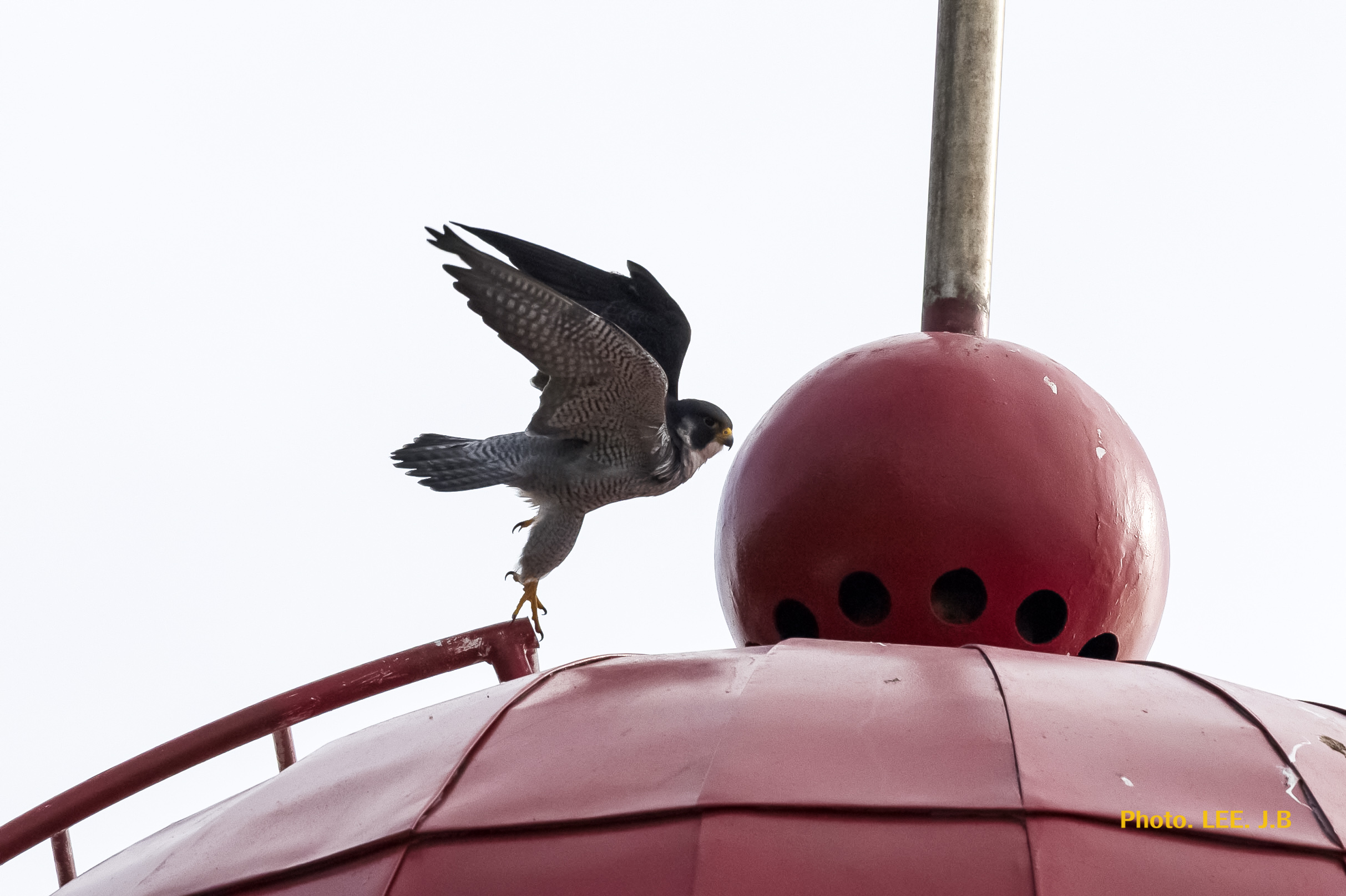 20250313-영도등대 (39).JPG