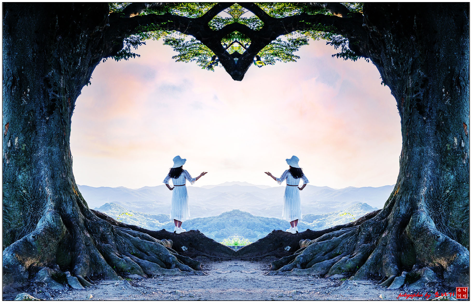 성흥산성 하트나무 복사.jpg