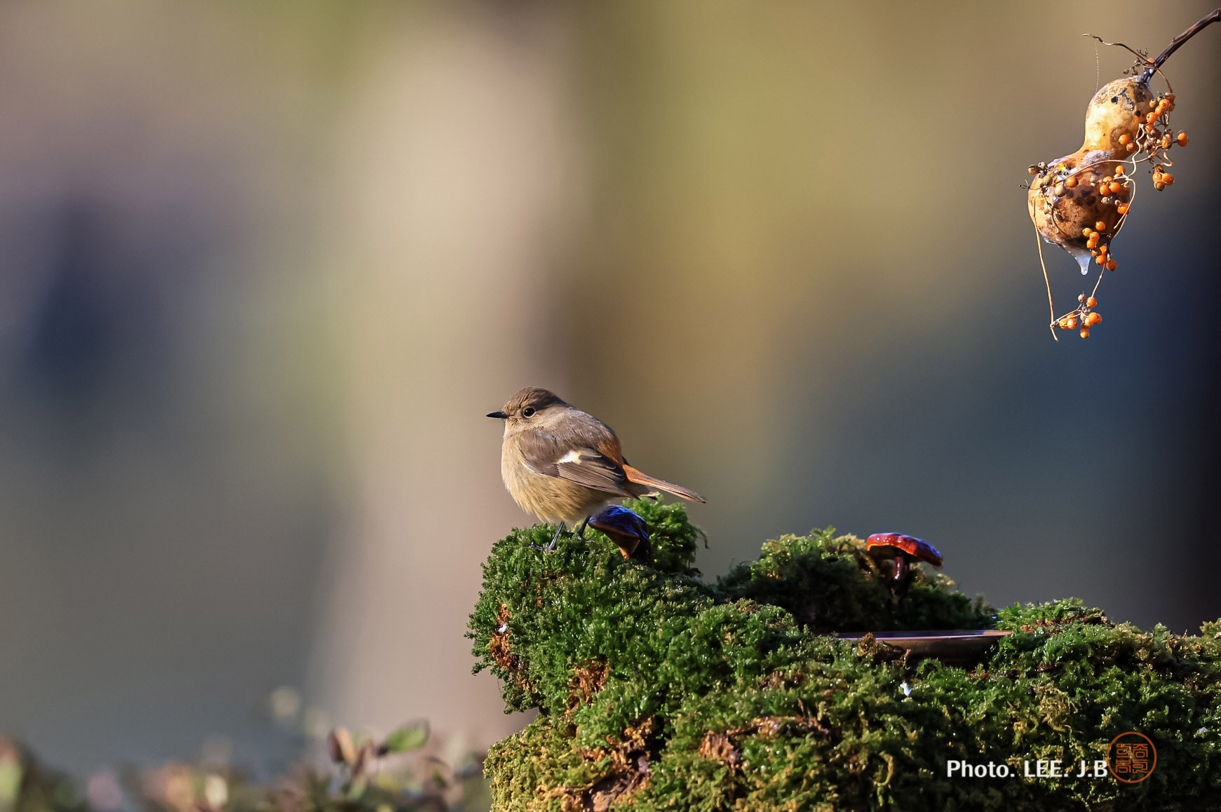 20250111-문수구장 (11).JPG