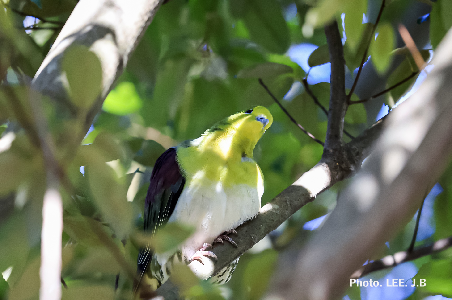 20250225-울산대공원 (19).JPG