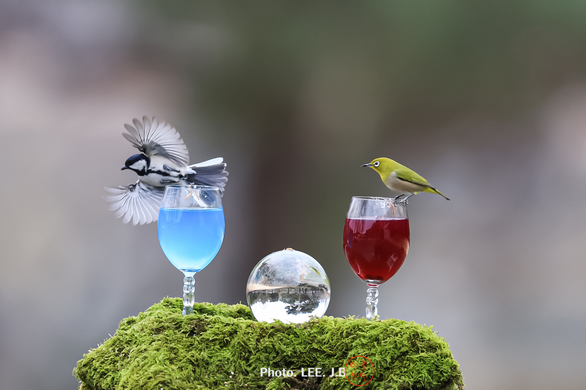 20250215-문수구장 (55).JPG