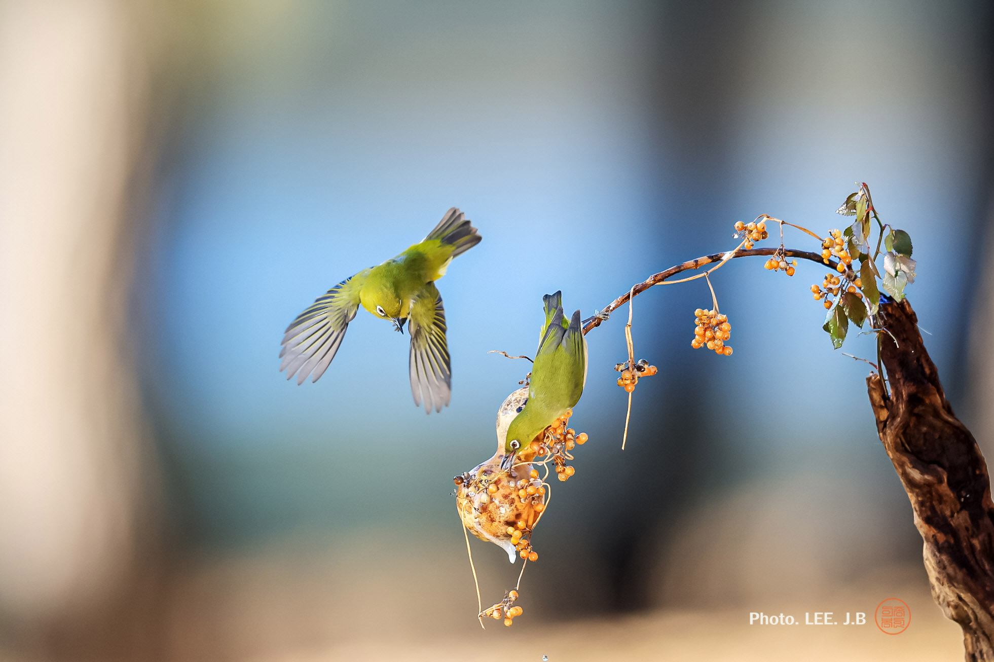 20250111-문수구장 (34).JPG