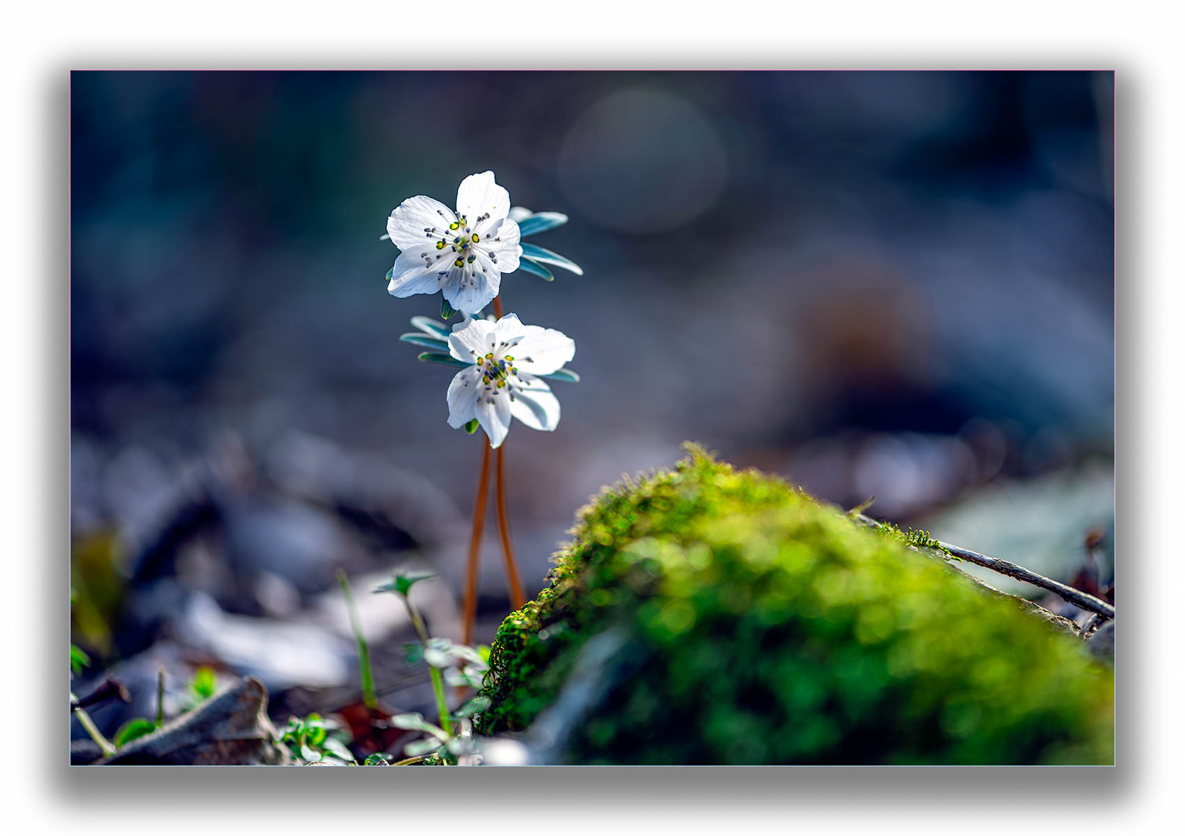 DSC_0856-향상됨-노이즈 감소-편집.jpg