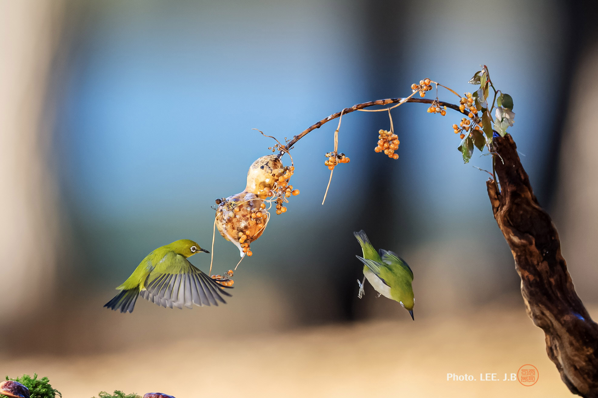 20250111-문수구장 (43).JPG