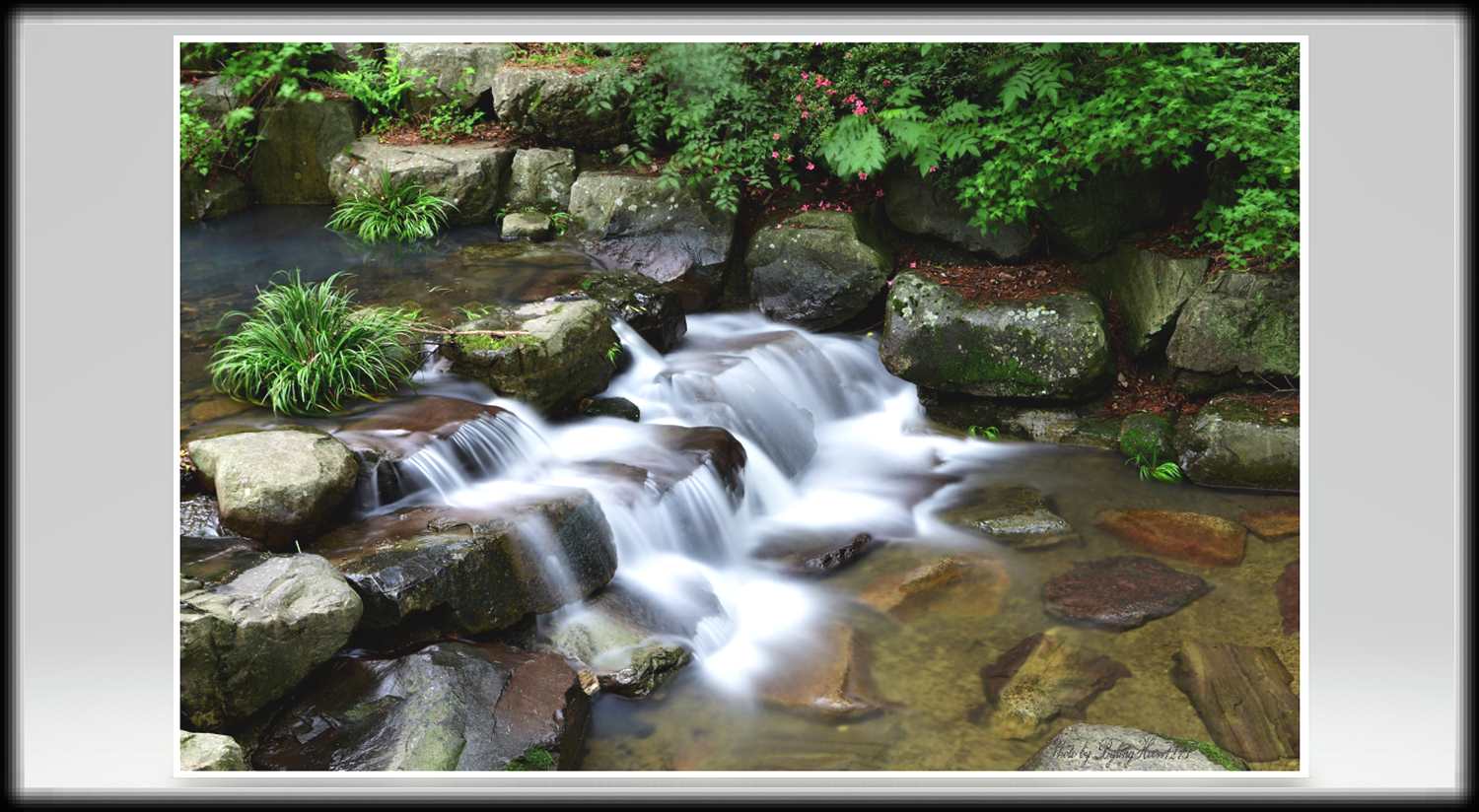 溪 流 (778).jpg