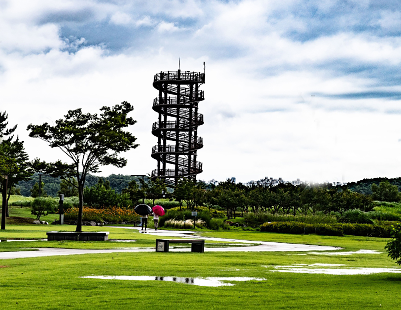 비오는 날의 시흥갯골.jpg