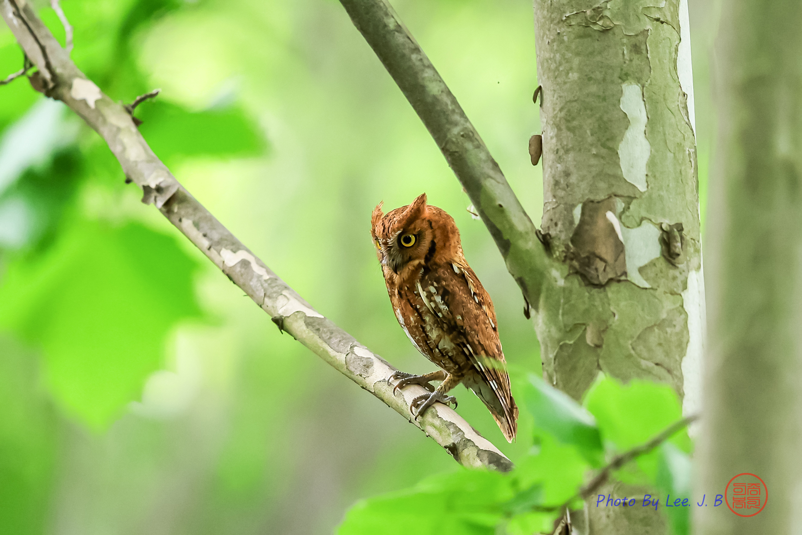 20240530-남창하리 (5).JPG