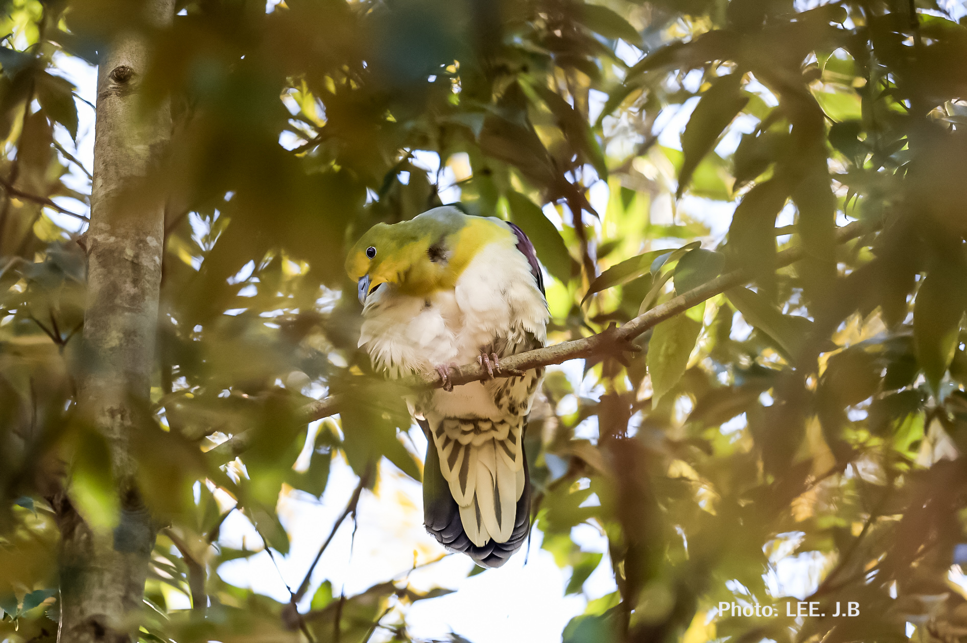 20250222-울산대공원 (49).JPG