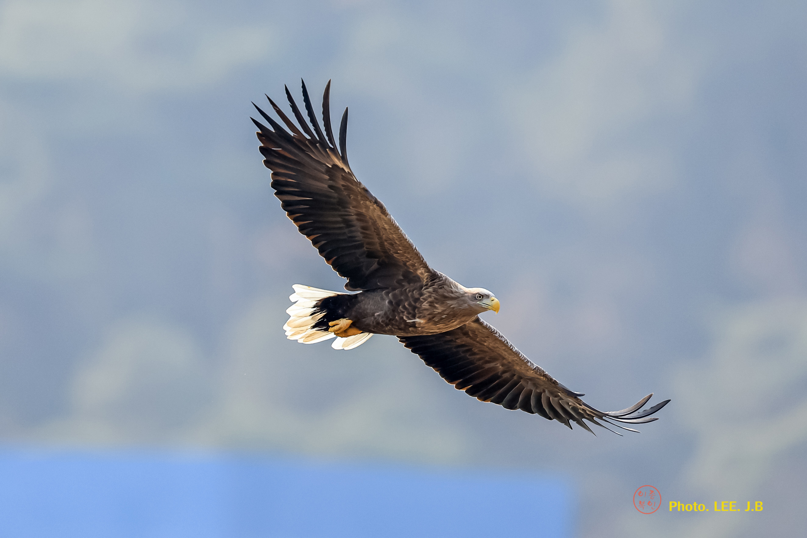 20250202-우곡중학교 (54).JPG