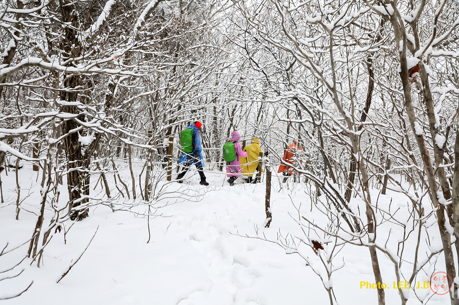 20250201-천황산 (28).JPG