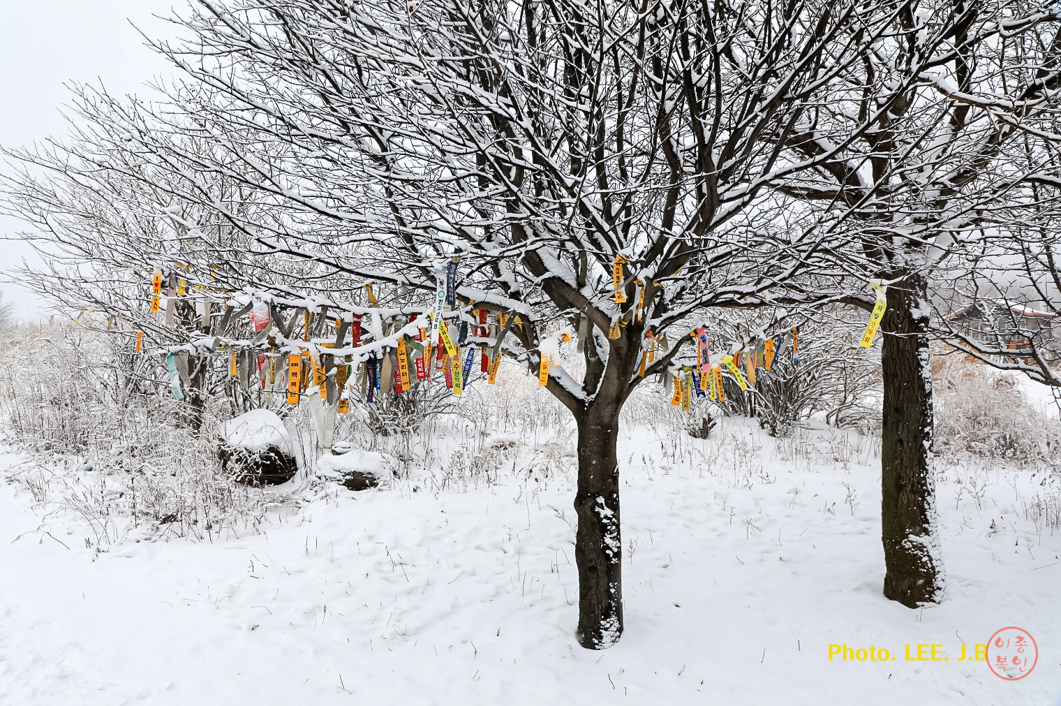 20250201-천황산 (37).JPG