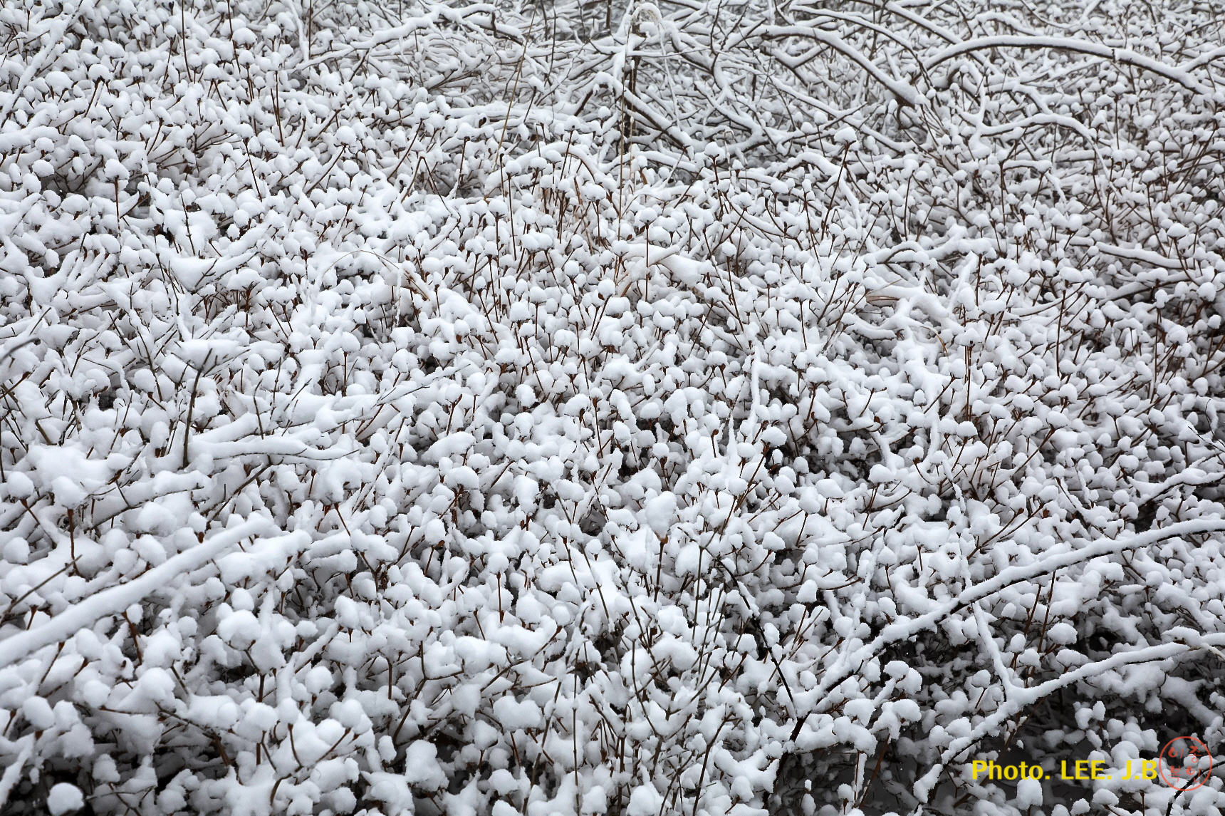 20250201-천황산 (2).JPG