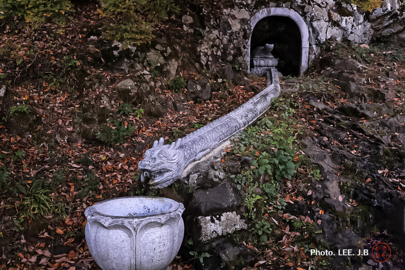 20241116-여수 오동도 (38).JPG