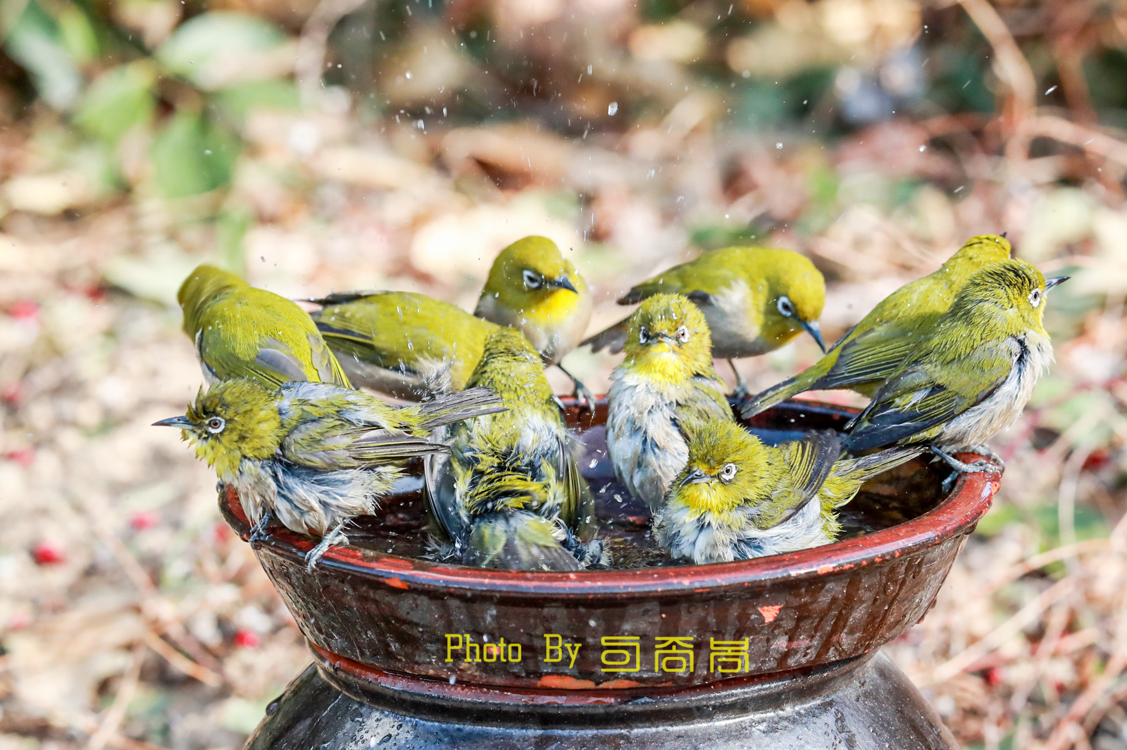 20220209-우리아파트 (29).JPG